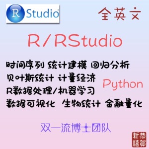 R语言代做 rstudio统计python金融计量 时间序列 r代做可视频辅导