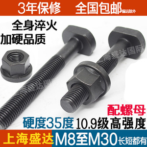 10.9级高强度全牙T型螺丝T形螺丝螺杆压板螺丝螺栓M8M12M16M20M24