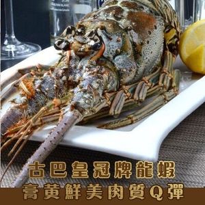 裕记海鲜 皇冠牌  古巴进口  冰冻古巴龙虾   500g     顺丰包邮