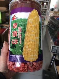 南京绿领萃甜628双色早脆玉米种子春秋高产大棒鲜食甜糯水果玉米