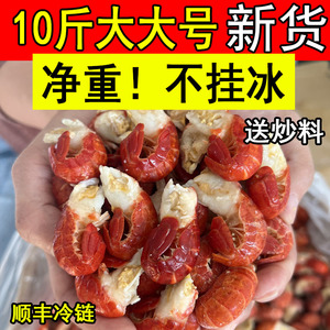 新货龙虾尾冷冻生鲜大号无冰衣小特虾球S级10斤整箱超商用