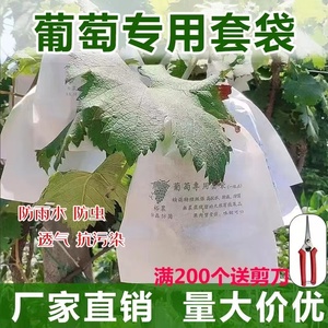 葡萄套袋专用纸袋防虫鸟水果葡萄袋防雨水套葡萄用的保护袋子裕农