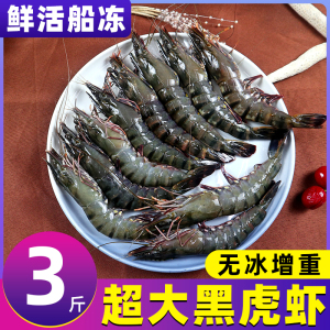 黑虎虾超大新鲜特大老虎虾斑节虾巨型正大虾九节虾冷冻海鲜活水产