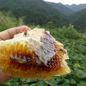 昌卫中华蜂农家自产野生结晶百花纯土蜂蜜热卖新品超值包邮1000g