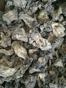 新疆特产巴楚野生蘑菇优质精选一级巴楚皱柄羊肚菌  500克