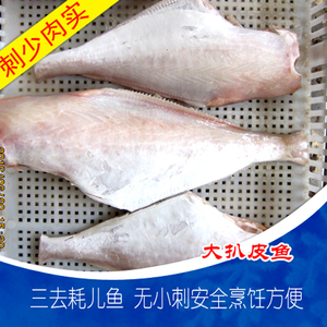 新鲜海鲜大号耗儿鱼 马面鱼  橡皮鱼 扒皮鱼 2-3条/斤
