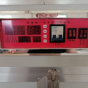 孵化机控制器智能英文温控器电脑表大型孵蛋器控制仪表