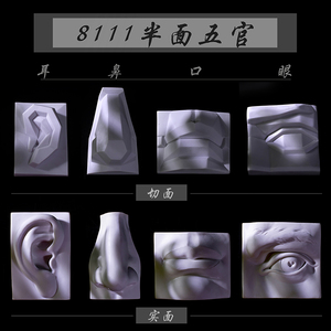 石膏五官模型树脂实面切面耳鼻口眼素描绘画写生静物专业美术教具
