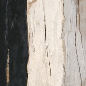 居然之家诺贝尔木化石系列墨白沙瓷砖XY618033