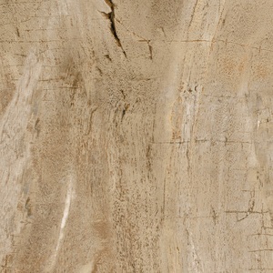 居然之家诺贝尔木化石系列松风瓷砖