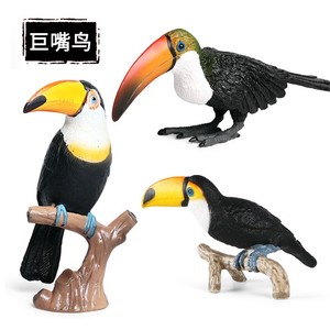儿童玩具仿真鸟类动物模型塑胶摆件实心巨嘴鸟大嘴鸟鹦鹉早教认知