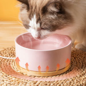 恒温猫咪饮水机冬季猫碗猫食盆陶瓷加热防黑下巴大口径保温狗碗