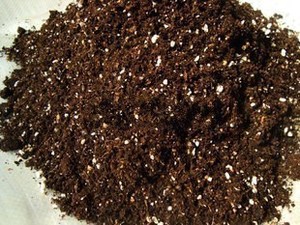 食虫植物专用培养土（1升）营养土-栽培基质|珍珠岩进口泥炭