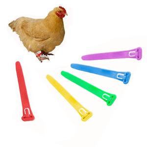 扎带式鸡脚环塑料可调节鸭鹅用绑带记号环编号标签标牌可伸缩足环