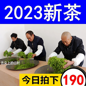 2023新茶湖北五峰芽毛尖茶叶三峡宜昌茗茶明前春茶采花绿茶500g