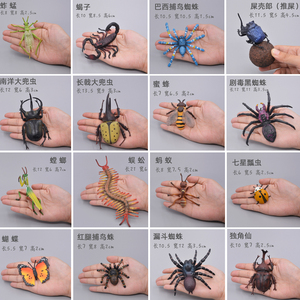 实心动物模型儿童仿真玩具认知蝴蝶蜜蜂螳螂瓢虫蜘蛛甲虫蜗牛蝎子
