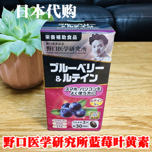日本进口野口蓝莓精华软胶囊眼疲劳视力眼部学生青少年老人代购