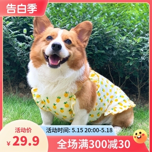 狗狗衣服薄款春秋装柴犬比熊夏天中小型犬幼犬夏季柯基宠物背心