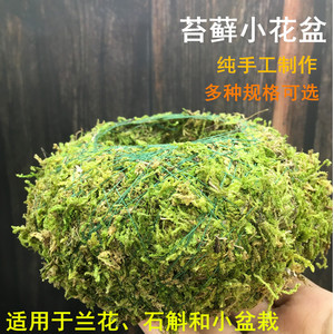 苔藓球青苔个性创意花盆植物花器手工苔玉球胚石斛摆件保湿种植盆