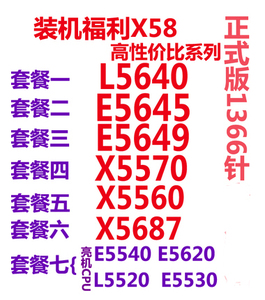 Intel/英特尔 至强 XEON E5620 E5645 E5-2420 CPU 6核1366 正式