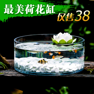 玻璃鱼缸圆形桌面水培荷花缸乌龟缸超白玻璃小型金鱼缸客厅摆件