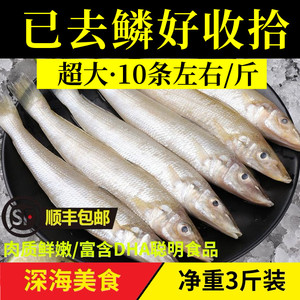 青岛去鳞大个新鲜沙丁鱼3斤深海海鱼冷冻鲜活海捕海鲜水产食品