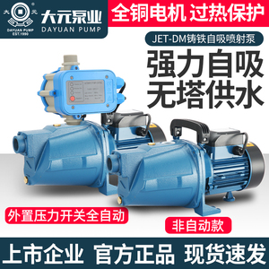 大元水泵家用220V喷射泵自来水增压泵水井抽水泵高扬程深井自吸泵