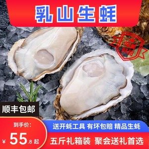 乳山生蚝鲜活大号5斤牡蛎活鲜海蛎子带箱新鲜海鲜水产批发