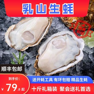 乳山生蚝鲜活大号10斤牡蛎活鲜海蛎子带箱新鲜海鲜水产批发