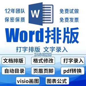 word排版美化文档编辑文字录入格式修改pdf转换图片整理表格公式