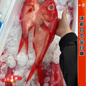 冰鲜金目鲷鱼 日本深海鱼 海鲜水产日料刺身食材生鱼片 3斤1条