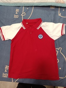 襄阳四十二中学纯棉红短袖T恤拼白色袖子领子红色间白可来图定制
