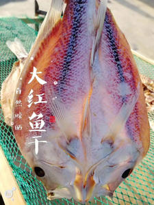 广西北海涠洲岛深海大红鱼干鱼肉咸鱼干整条卖红鱼海鲜干货2000克