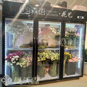 双门三门直冷风冷鲜花保鲜柜花店立式储存鲜花冷藏展示柜定制上海