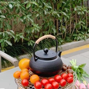 日本铁壶南部无涂层进口生铁铸铁壶纯手工茶壶煮茶烧水泡茶壶茶具