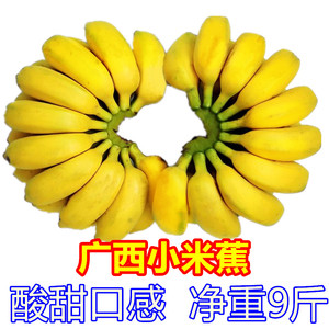 广西小米蕉新鲜香蕉 酸甜米蕉小米香蕉 米蕉小芭蕉小米酸甜米糯焦