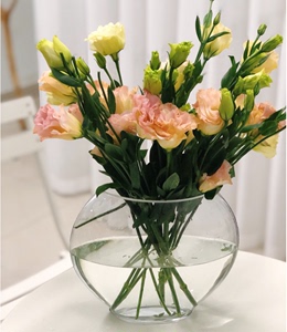 创意扁形玻璃水培花盆透明花瓶 长方形扁口鱼缸 简约台面鲜花花瓶