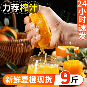正宗湖北秭归夏橙新鲜水果当季整箱橙子10斤果冻甜橙纯甜手剥橙