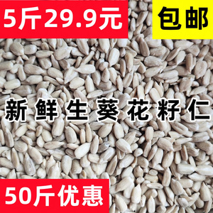 新鲜生葵花籽仁生瓜子仁无壳原味非熟瓜子米烘培榨油原料5斤包邮