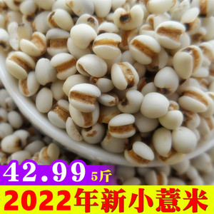 2023年新小薏米仁新货5斤贵州兴仁苡意仁米粒祛湿红豆气五谷杂粮