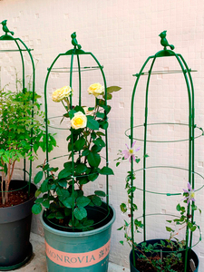 铁线莲花支架阳台花卉支架可伸缩月季固定支撑杆爬藤植物绿萝花架