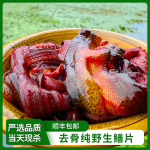 顺丰包邮野生黄鳝鱼 新鲜鳝鱼片 现杀去骨去头黄鳝肉 野外鳝鱼苗