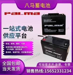 PALMA八马蓄电池PM系列12V100/65/40/38/33/24/22/17/12/7/120AH