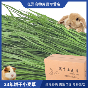 兔子小麦草干草食用荷兰猪豚鼠吃的专用龙猫幼兔粮饲料烘干牧草段