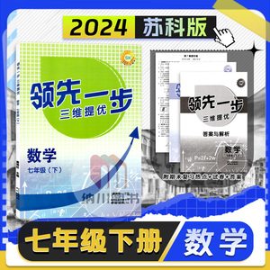 2024版领先一步三维提优七年级数学下册苏科版江苏教SK初一7年级下初中课时提优计划作业本同步培优单元教材复习训练期末检测试卷