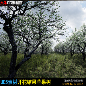 UE5虚幻 写实苹果树 四季树木效果落叶树干 苹果树果园模型素材