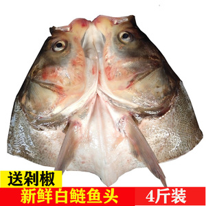 丹江口直发新鲜淡水鱼鱼头白鲢鱼头剁椒鱼头鲜活食用水产胖头包邮