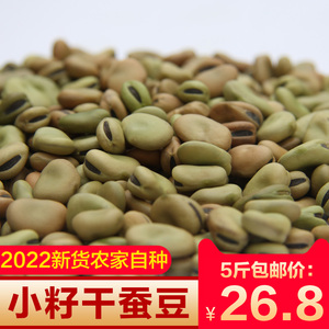 生的干蚕豆2022年新货新鲜绿胡豆小颗粒种子豆湖北小籽干豌豆5斤