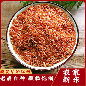 新米井冈山红米农家红糙米饭5斤红大米粳米杂粮食血稻胚芽红香米