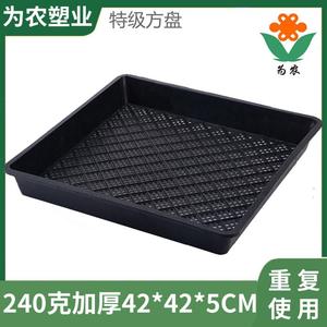Thickened hole tray seedling tray bean sprouts square